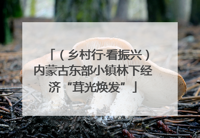 （乡村行·看振兴）内蒙古东部小镇林下经济“茸光焕发”