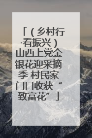 （乡村行·看振兴）山西上党金银花迎采摘季 村民家门口收获“致富花”