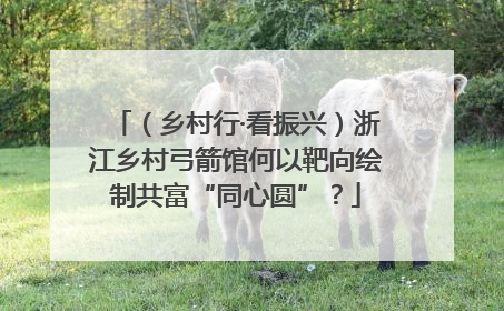 （乡村行·看振兴）浙江乡村弓箭馆何以靶向绘制共富“同心圆”？