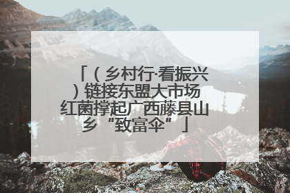 （乡村行·看振兴）链接东盟大市场 红菌撑起广西藤县山乡“致富伞”