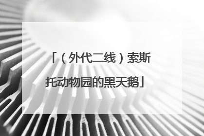 （外代二线）索斯托动物园的黑天鹅