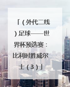 （外代二线）足球——世界杯预选赛：比利时胜威尔士（3）