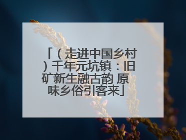 （走进中国乡村）千年元坑镇：旧矿新生融古韵 原味乡俗引客来