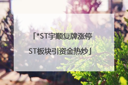 *ST宇顺复牌涨停 ST板块引资金热炒