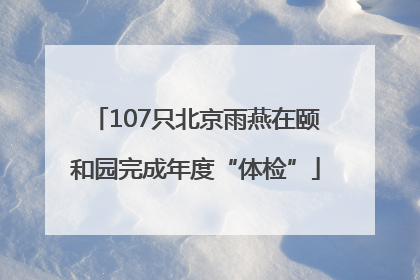 107只北京雨燕在颐和园完成年度“体检”