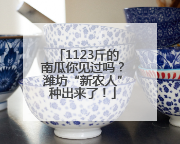1123斤的南瓜你见过吗？潍坊“新农人”种出来了！