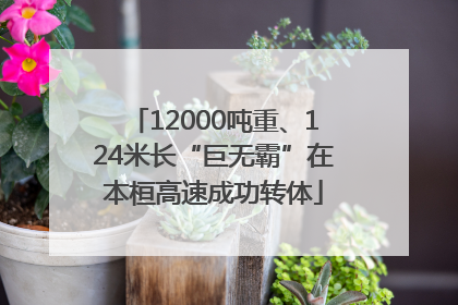 12000吨重、124米长“巨无霸”在本桓高速成功转体