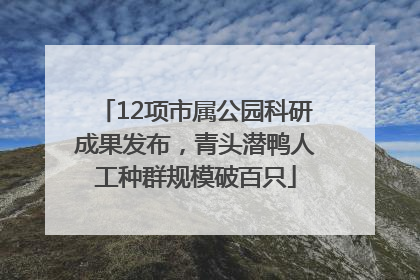 12项市属公园科研成果发布，青头潜鸭人工种群规模破百只