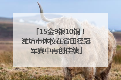 15金9银10铜！潍坊市体校在省田径冠军赛中再创佳绩