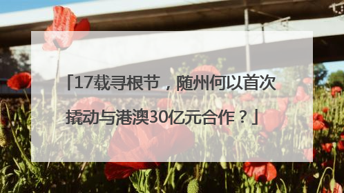 17载寻根节，随州何以首次撬动与港澳30亿元合作？