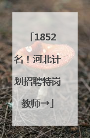 1852名！河北计划招聘特岗教师→