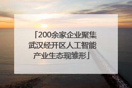 200余家企业聚集 武汉经开区人工智能产业生态现雏形