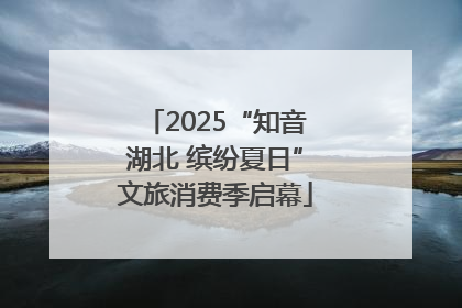 2025“知音湖北 缤纷夏日”文旅消费季启幕
