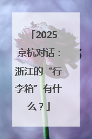 2025京杭对话：浙江的“行李箱”有什么？
