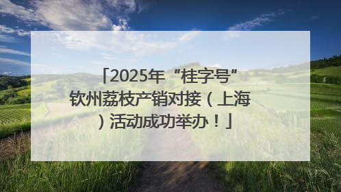 2025年“桂字号”钦州荔枝产销对接（上海）活动成功举办！