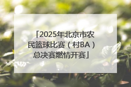 2025年北京市农民篮球比赛（村BA）总决赛燃情开赛