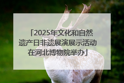 2025年文化和自然遗产日非遗展演展示活动在河北博物院举办