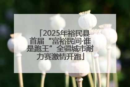 2025年裕民县首届“富裕民间·谁是跑王”全疆城市耐力赛激情开跑