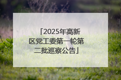2025年高新区党工委第一轮第二批巡察公告
