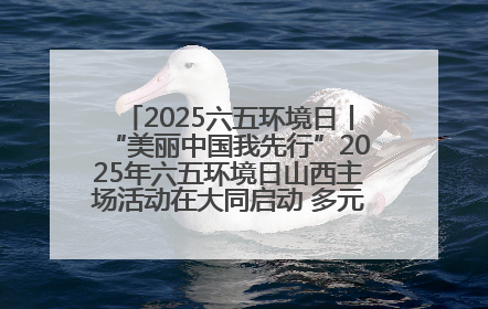 2025六五环境日丨“美丽中国我先行”2025年六五环境日山西主场活动在大同启动 多元形式绘就生态画卷