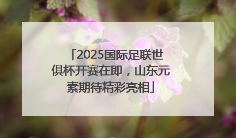 2025国际足联世俱杯开赛在即，山东元素期待精彩亮相