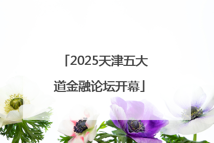 2025天津五大道金融论坛开幕