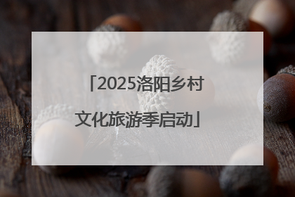 2025洛阳乡村文化旅游季启动