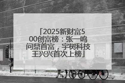 2025新财富500创富榜：张一鸣问鼎首富，宇树科技王兴兴首次上榜