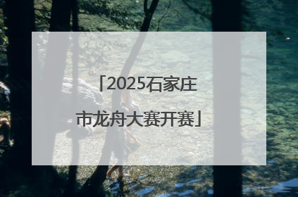 2025石家庄市龙舟大赛开赛