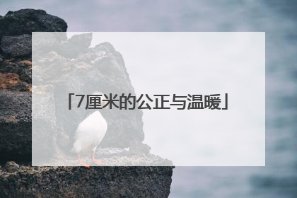 7厘米的公正与温暖