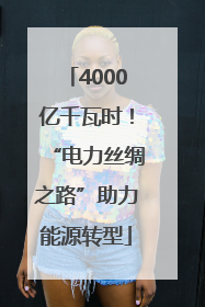 4000亿千瓦时！“电力丝绸之路”助力能源转型