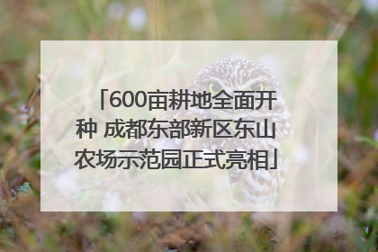 600亩耕地全面开种 成都东部新区东山农场示范园正式亮相