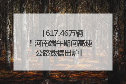 617.46万辆！河南端午期间高速公路数据出炉