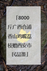 8000斤广西合浦香山鸡嘴荔枝赠西安市民品鉴