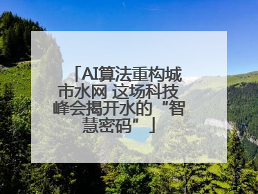 AI算法重构城市水网 这场科技峰会揭开水的“智慧密码”