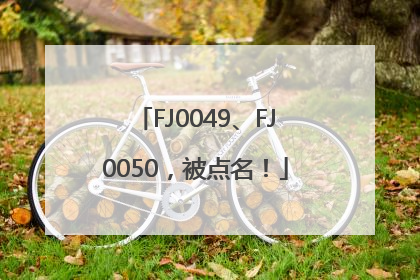 FJ0049、FJ0050，被点名！