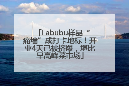 Labubu样品“痛墙”成打卡地标！开业4天已被挤爆，堪比早高峰菜市场