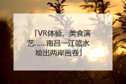 VR体验、美食演艺……南昌一江赣水绘出两岸画卷