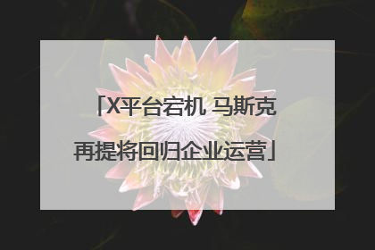 X平台宕机 马斯克再提将回归企业运营